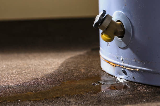 Professional Water damage restoration in Woodland Hills, UT