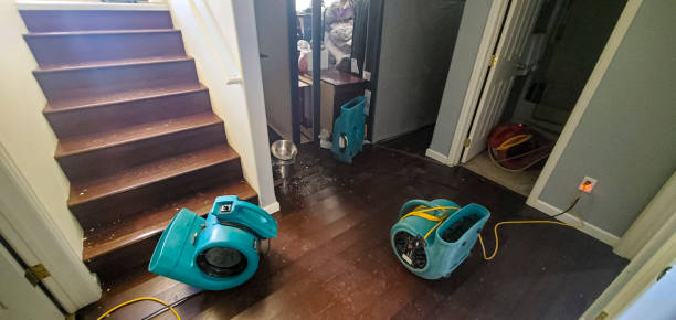 Best Local water damage restoration  in Woodland Hills, UT