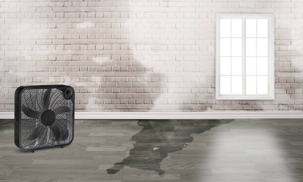 Best 24-hour water damage restoration  in Woodland Hills, UT