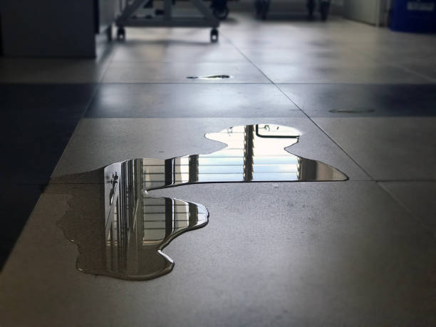 Best Commercial water damage restoration  in Woodland Hills, UT