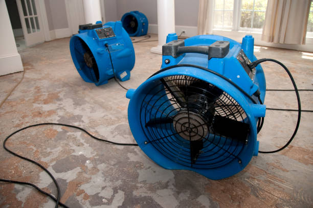 Best Professional water damage repair  in Woodland Hills, UT