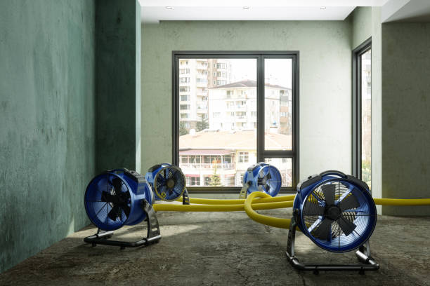 Best Water damage mitigation services  in Woodland Hills, UT