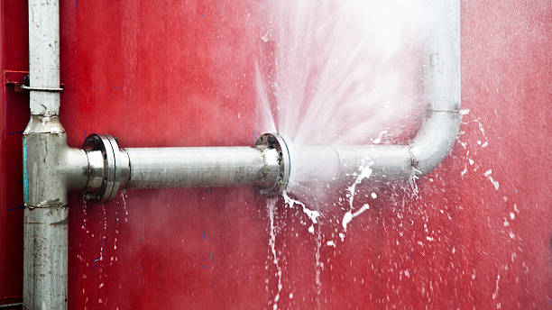 Best Flood damage cleanup  in Woodland Hills, UT